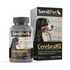 SenilPet Cerebral 20 Perros Raza Grande x 30 Comprimidos Ranurados